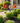 Metal Flower Garden Stake with Insect