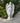 Angel Statue