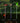 Solar Insects/Bird Garden Stake with LED