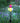Solar Red, Yellow, Blue & Green Balloon Stake w/LED