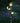 Solar Sun, Moon and Star Stake with White LED