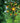 Vibrant Metal Jeweled Blade Wind Spinner Garden Stake