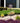 Multi-Colored Metal Layered Floral Wind Spinner Garden Stake