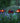 Solar Patriotic Car, Truck & Tractor LED Stake
