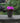 12" Gray Stone Finish Fluted Round Planter with Drainage Hole