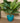 12" Blue Ribbed Plastic Planter- Set of 2