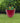 Red Glossy Striped Planter with Drainage Hole