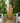 4-Tier Cascading Tree Bark Fountain  with LED Lights