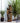 Cascading Mossy Jars Fountain with LED Lights