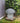 Cement Mushroom Statuary
