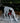 White Grazing Light Up Mesh Deer Décor