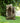 Tree Trunk Fountain with LED Lights
