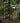 Waterfall in Realistic Tree Bark Fountain with LED Lights
