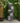 5-Tiered Pot Fountain with LED Lights