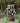 Rainforest Rock Tiered Fountain