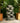 Tiered Cascading Rock Fountain