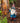 Americana Saluting Small Gnome with Flag