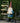 Gnome with Bird Statuary