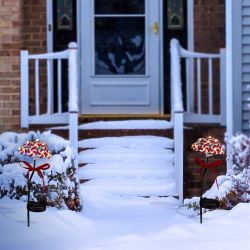 Alpine Corporation 20"H Outdoor Solar Candy Cane Lawn Stakes with LED Lights, Red/White (Set of 2)