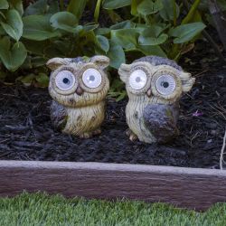 Solar Ceramic Owl with LED Lights -Assorted Tray Pack of 4