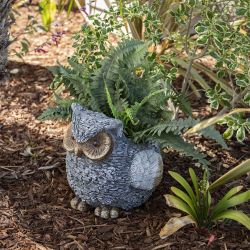 Owl Garden Planter