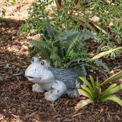 Frog Garden Planter