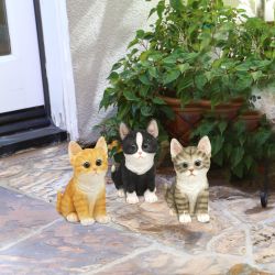 Kitty Statuary -  Assorted Tray Pack of 9